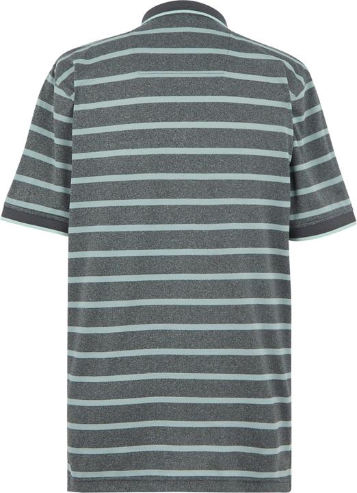 Actual product image Regatta Mens Kildra Polo Shirt (XXL)