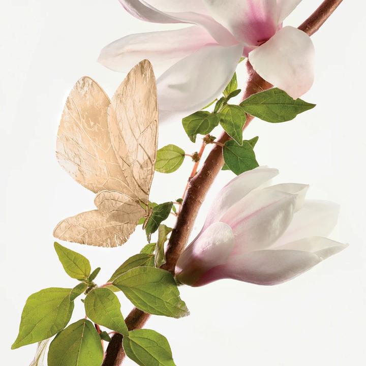 Immagine prodotto Annick Goutal Eau de Parfum (Eau de parfum, 100 ml)