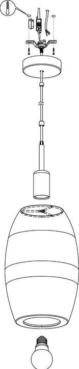 Produktbild EGLO Pendelleuchte RIYADH 1x E27, Schwarz (E27)
