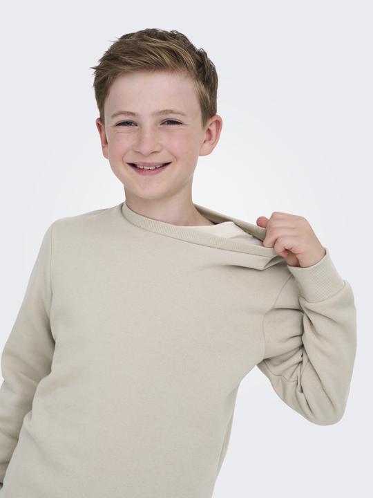 Produktbild Only & Sons Junior Osjceres Crew Neck Swt Noos (146, 152)