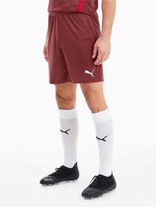 Produktbild Puma teamGOAL 23 knit Shorts-704262 (M)