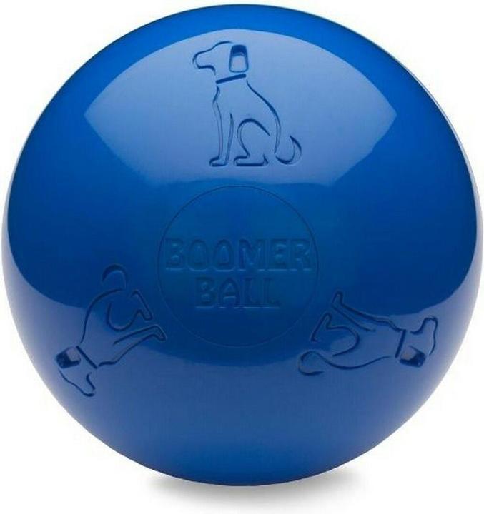 Company of Animals Boomer Ball (Ball toy dog)