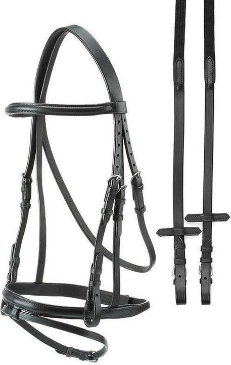 Immagine prodotto Tattini Briglie snaffle econ smooth