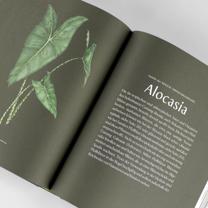 Image du produit Plantopedia (Allemand, Lauren Camilleri, Sophia Kaplan, 2022)