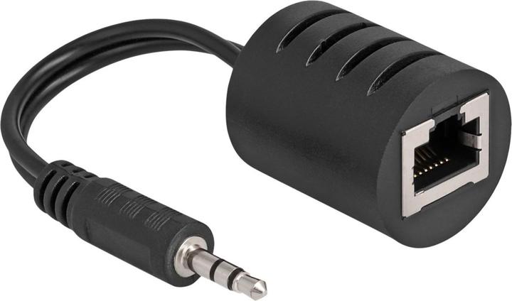Delock Stereo Audio Extender RJ45 Bu zu 3,5 mm Kli (Klinkenadapter)