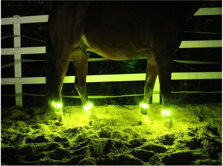 Image du produit Animal Light LED Leuchtgamaschen Threeple 4er-Set