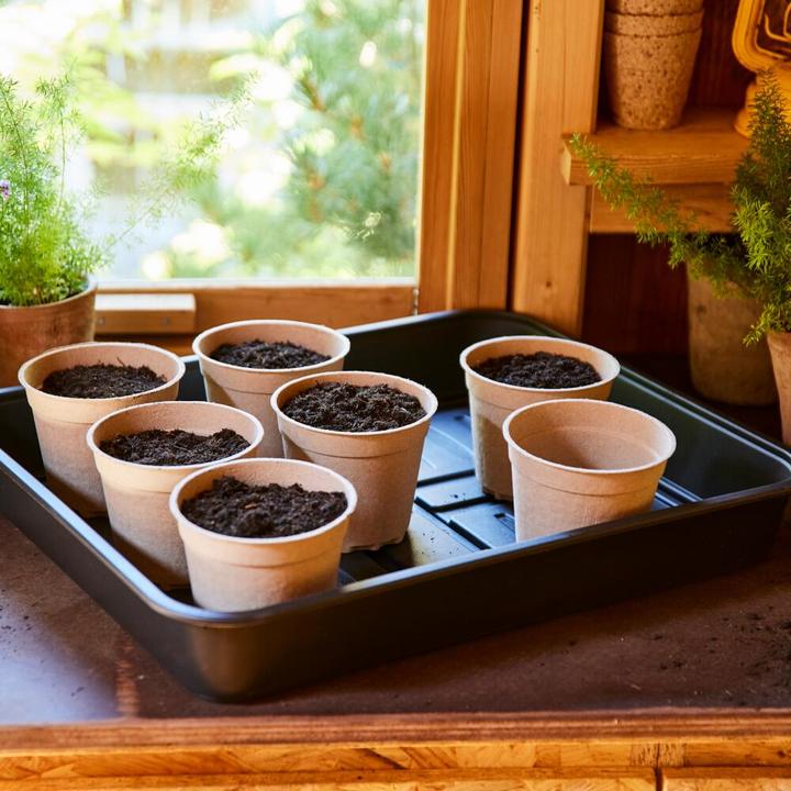 Immagine prodotto Siena Garden Confezione da 10 vasi di coltura ECO Ø 12 cm