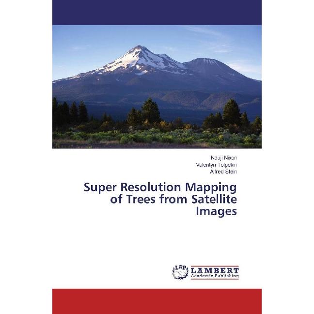 Super Resolution Mapping of Trees from Satellite Images, Fachbücher von Alfred Stein, Valentyn Tolpekin, Nduji Nixon