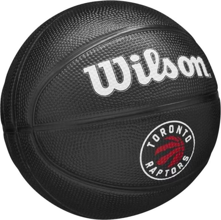 Actual product image Wilson Nba Team Tribute Mini Goal Raptors (3)