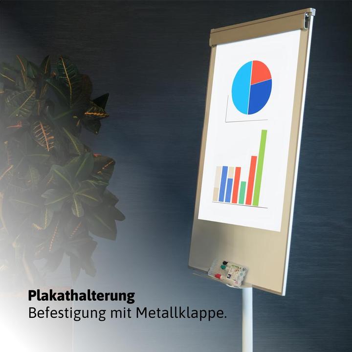 Produktbild Dönges Mobiles Whiteboard (65 x 100 cm)