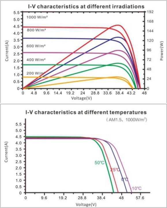 Actual product image Enjoy solar Monocrystalline solar module (150 W, 9 kg)