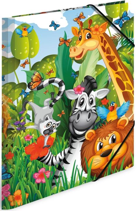 Actual product image HERMA A4 motif folder (A4, 1 x)