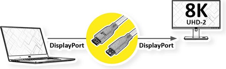 Actual product image Roline DisplayPort cable, v1.4, DP ST - ST (2 m)