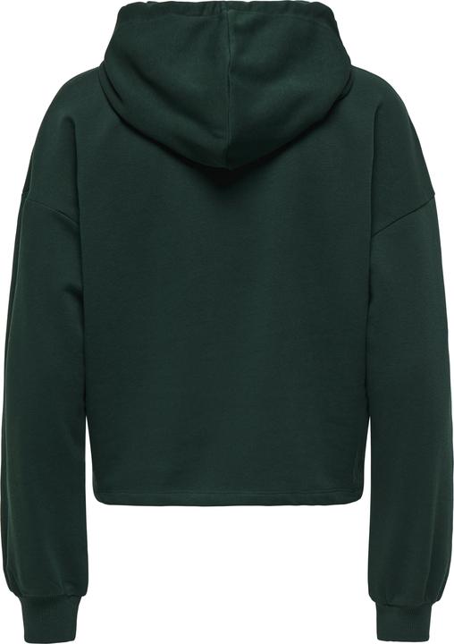 Produktbild Only Play ONPGO Sweatshirt Kapuzenpullover (S)