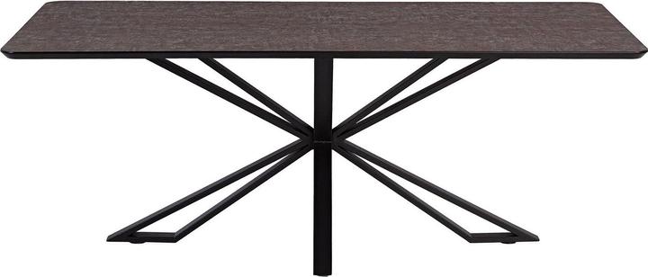 Homestyle4u Esstisch (200 x 100 x 76 cm)