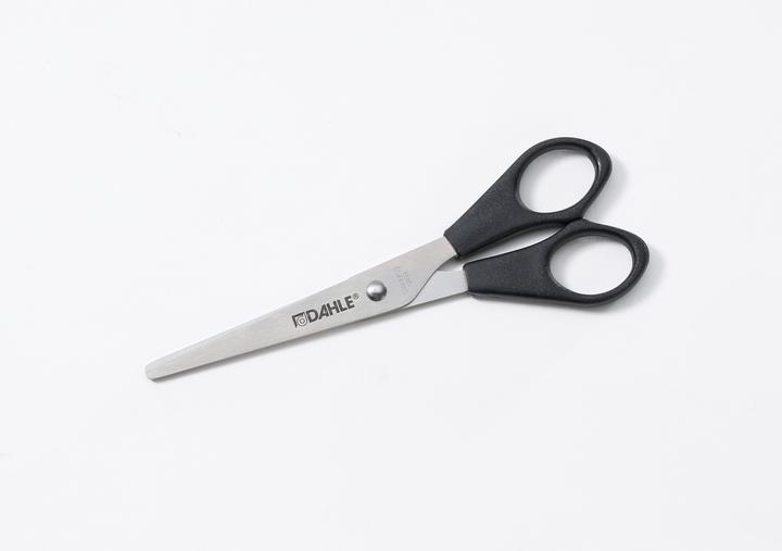Image du produit Dahle Ciseaux de ménage ECO gris (16 cm)