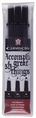 Produktbild Sakura Pigma Calligrapher (3x)