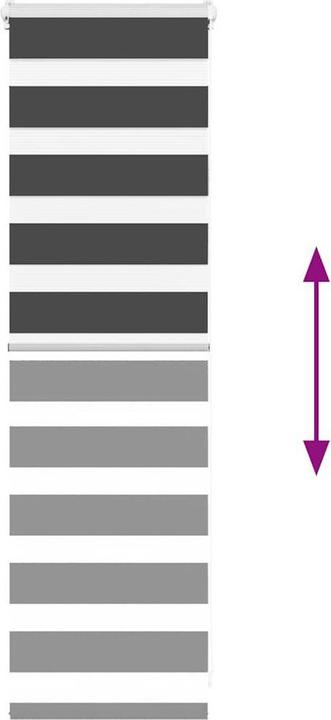 Produktbild vidaXL Zebra-Jalousie (50 x 100 cm)