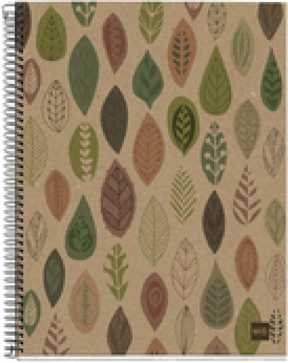 Image du produit Maul ECO Design NB4 ECOLEAVES Recycle HOR 80 farbig (A4, À rayures, Couverture rigide)