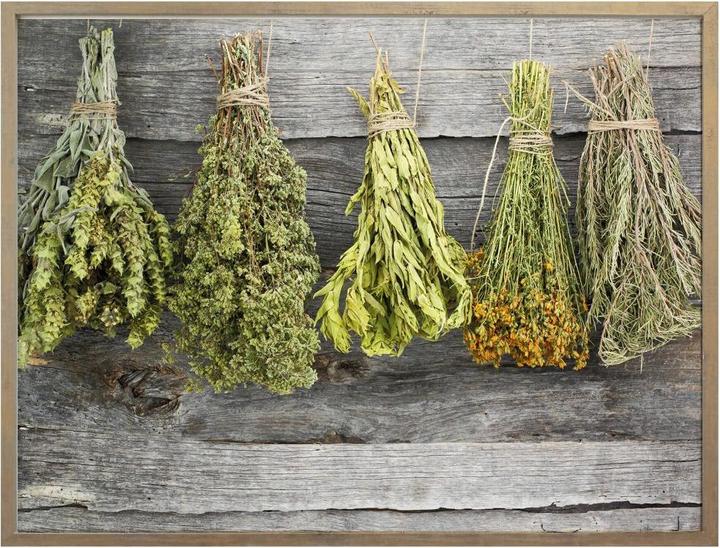 Immagine prodotto Trenddeko Erbe essiccate (60 x 50 cm)