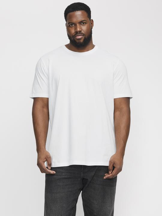 Actual product image Jack & Jones Jjeorganic Basic Tee Ss O-Neck Noos Pls (8XL)