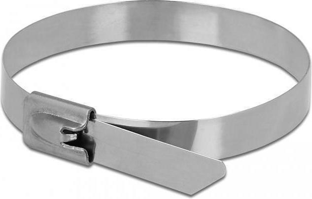 Produktbild Delock Kabelbinder 50cm (Packung mit 10) (Kunststoffkabelbinder, 500 mm, 10 Stk.)