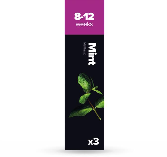 Immagine prodotto Plantui Menta (Semi di erbe)