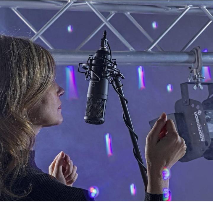 Actual product image Renkforce USB Studio Microphone CU-4 Cableg