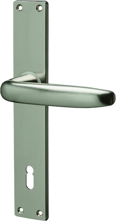 Mega Maniglie per porta WAGGON 32.100 / 33.100 (Maniglia della porta)