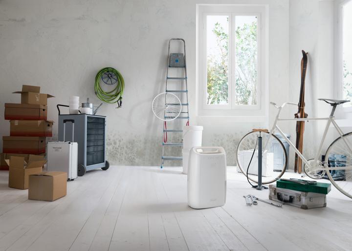 Productafbeelding De'Longhi Tasciugo AriaDry DEX210SF (45 m², 10 l/24h)