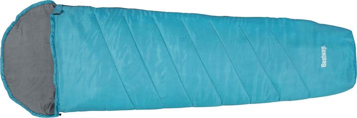 Produktbild Bestway Mumien-Schlafsack Hiberhide 10 220 x 75 x 50 cm, sortiert (220 cm)