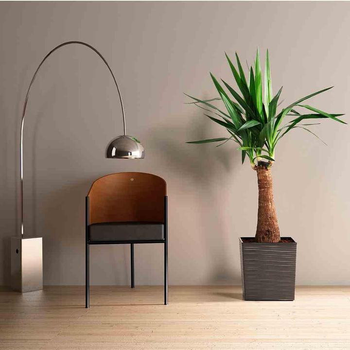 Actual product image Siena Garden Modern (25 cm)