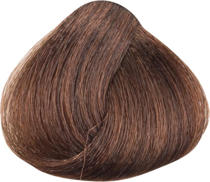 Immagine prodotto Ref. Colore permanente in crema per capelli 6.00 Intense Nature Dark Blonde 100 ml (6,00 Biondo Scuro Natura Intensiva)