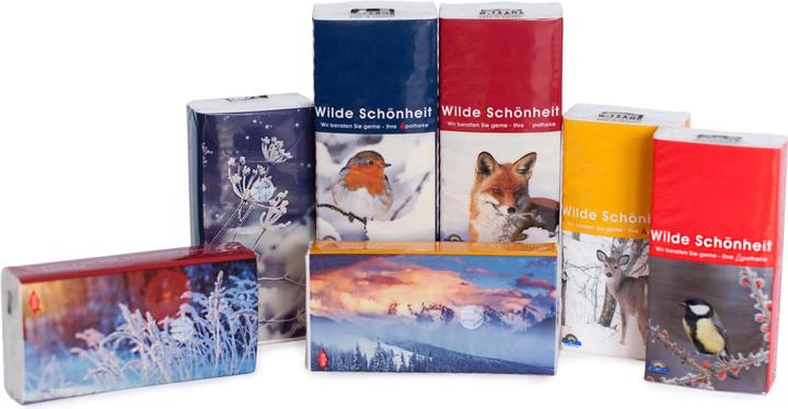 BabyFrank Taschentücher Motiv Winter, 1 St