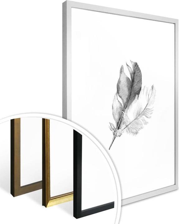 Image du produit Trenddeko plumes (40 x 50 cm)