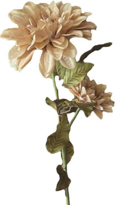 Immagine prodotto Disco Möbel Blume Dahlie (100 cm)