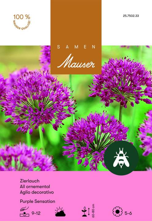 Produktbild Samen Mauser Purple Sensation (Blumenzwiebeln)