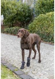 Productafbeelding Trixie Walker Active Lange beschermlaarzen, M, 2 st, zwart (M, Hondenschoenen)