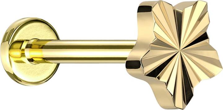Produktbild Star Piercing Micro Labret Innengewinde vergoldet Diamantschliff Scheibe Stern vergoldet (ohne Messing, Titan)