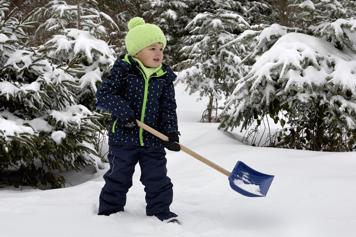 Actual product image Theo Klein Pure Fresh snow shovel
