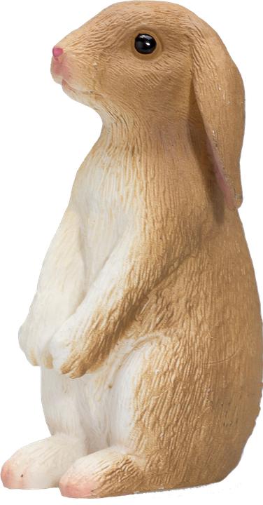 Actual product image Mojo Bunny sitting