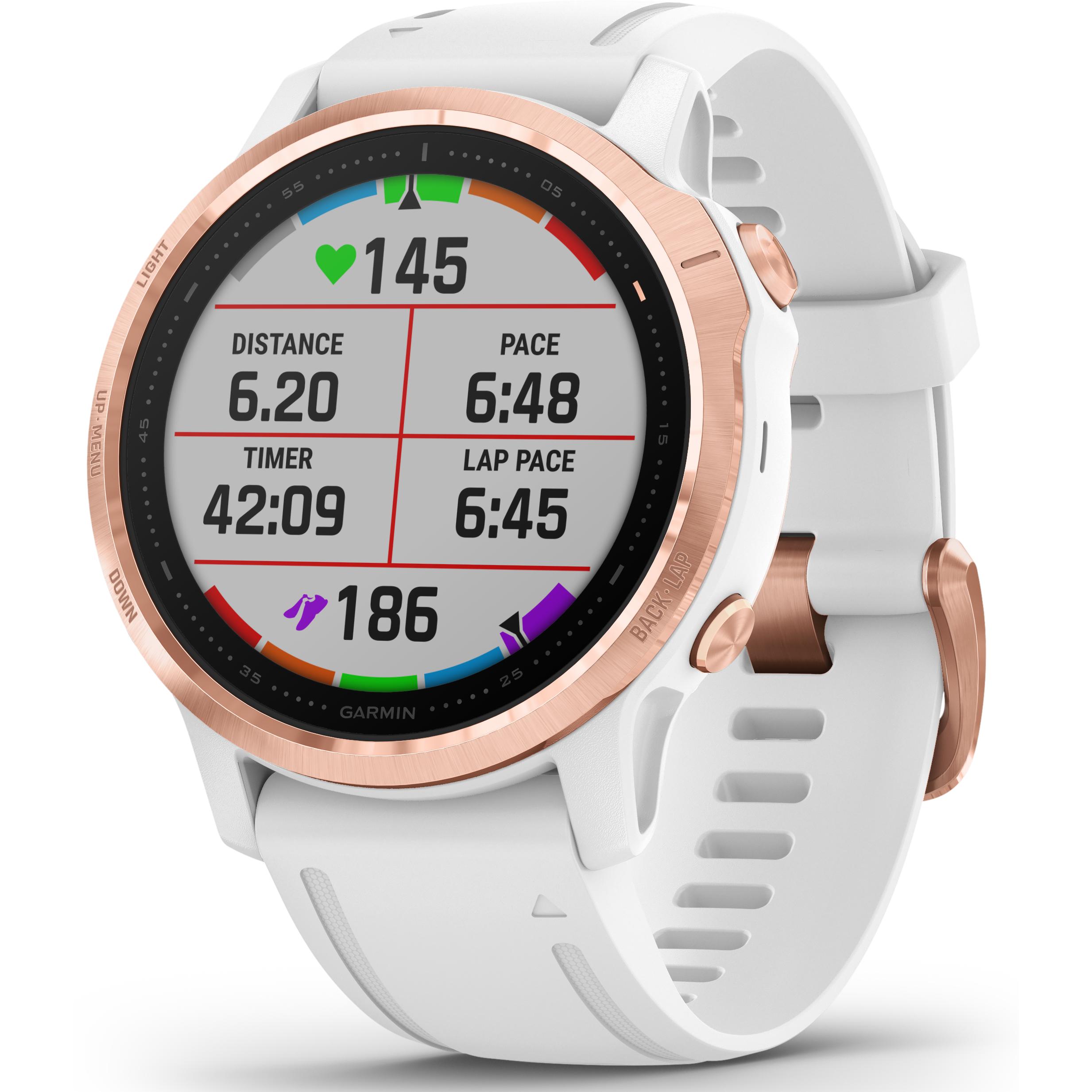 Garmin fenix 6S Pro kaufen bei Digitec