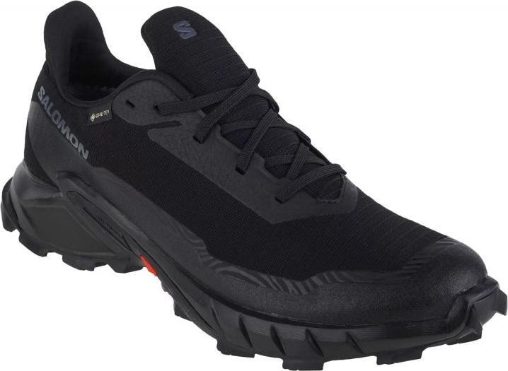 Image du produit Salomon Alphacross 5 GTX - 59879 (41 1/3)