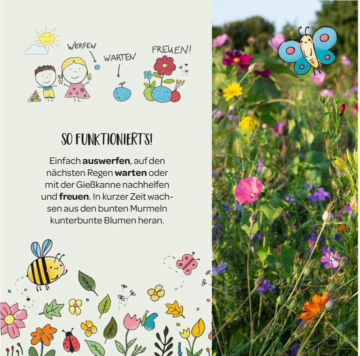 Produktbild Die Stadtgärtner Blumenmurmeln (Blumensamen, Samenbomben)