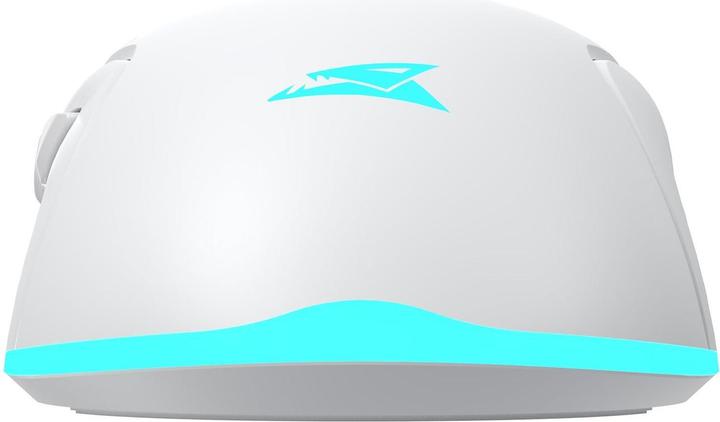 Produktbild Baracuda BGM-122 Schildkröte Weiss (Kabellos)