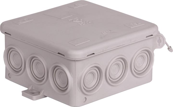 Pollmann AP junction box