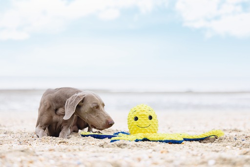 Immagine prodotto Beeztees Polpo Amy (Giocattolo per cani)