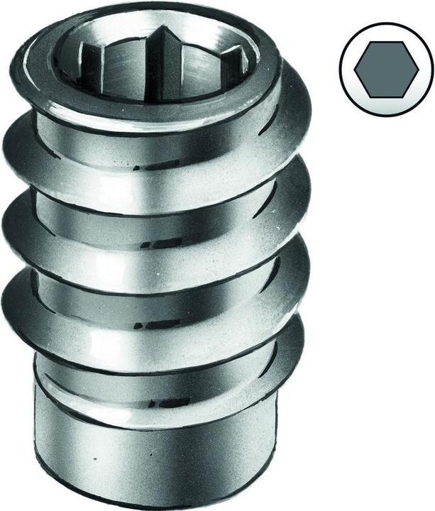 Actual product image Rampa Screw-in sleeves type SK (1 Screw per piece)