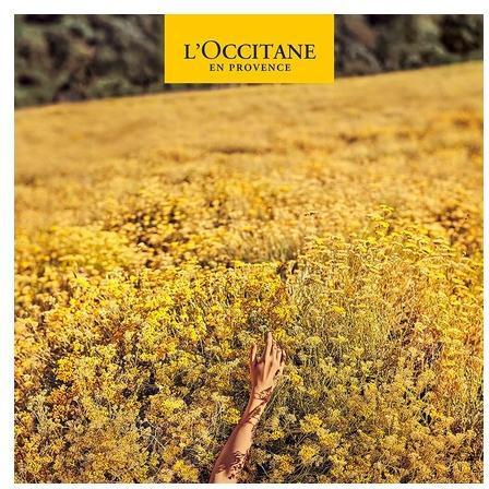 Immagine prodotto L'Occitane Rosa (Latte corpo, 250 ml)