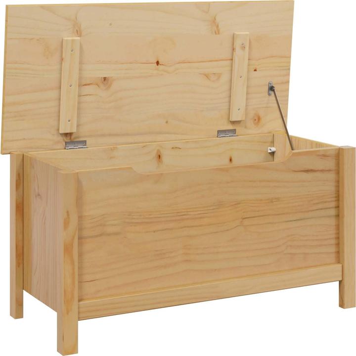 Image du produit vidaXL Aufbewahrungsbox (90 cm)